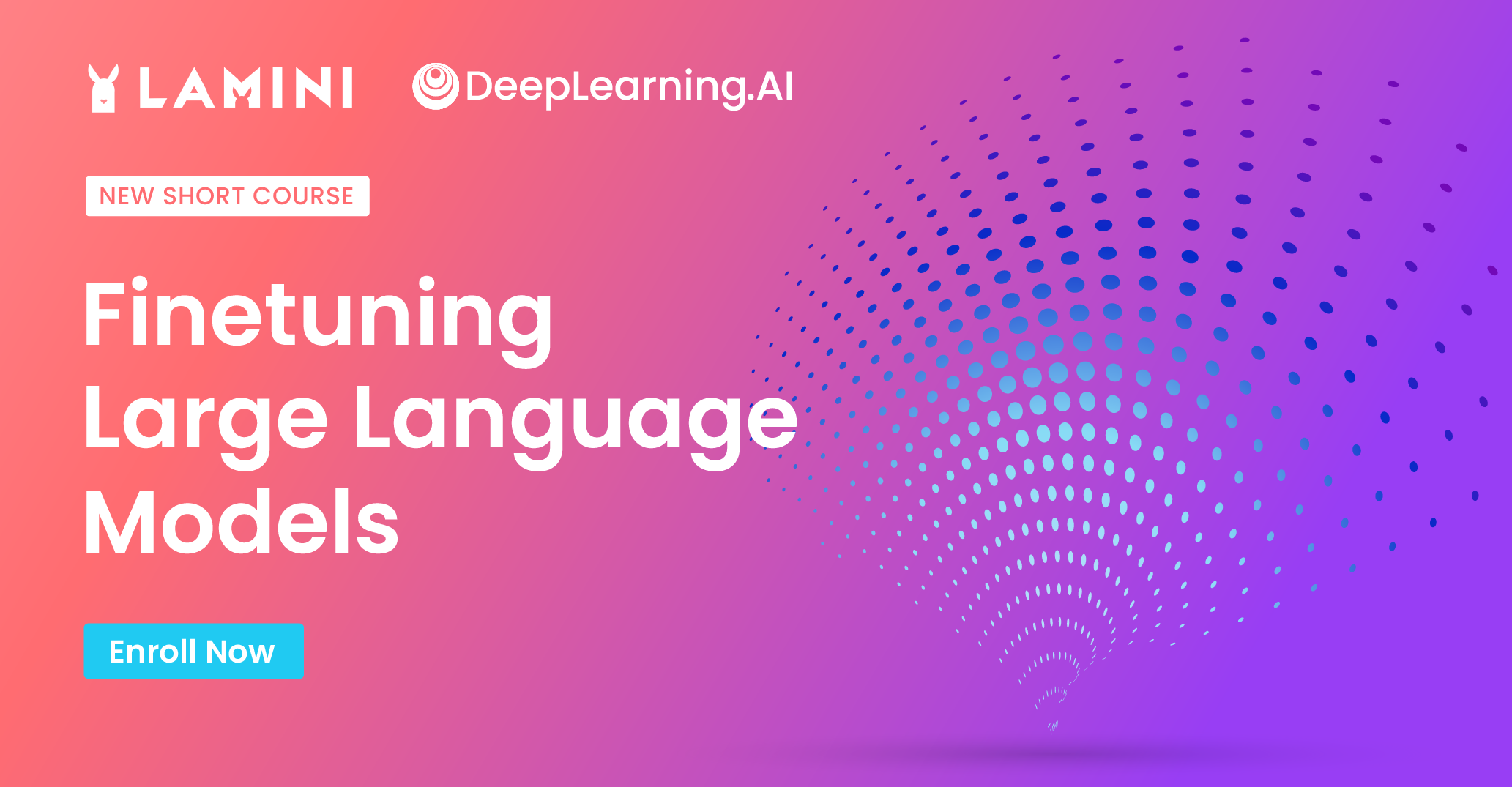 Fine-Tuning Large Language Models — Course